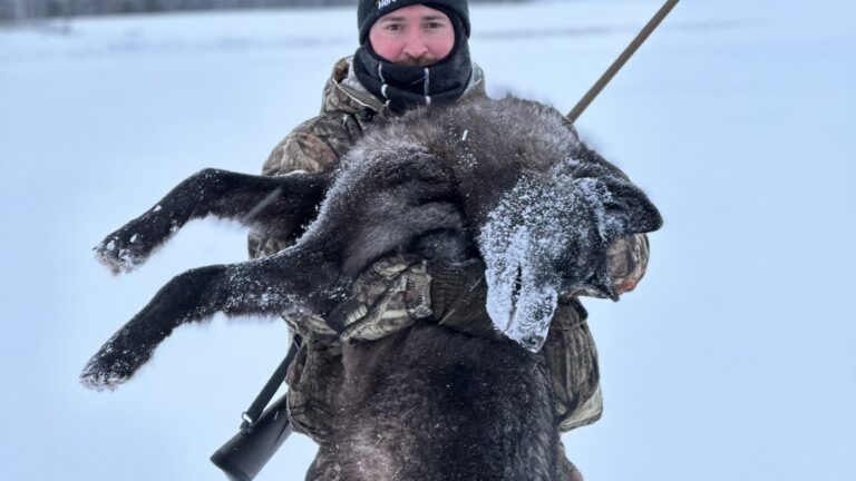 8 Frozen Hours in a Ground Blind: A -30°C Northern Ontario Wolf Hunt